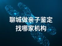 聊城做亲子鉴定找哪家机构