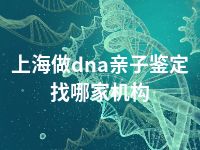 上海做dna亲子鉴定找哪家机构