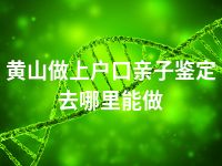黄山做上户口亲子鉴定去哪里能做