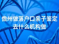 儋州做落户口亲子鉴定去什么机构做