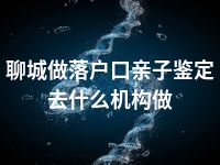 聊城做落户口亲子鉴定去什么机构做