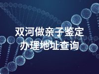双河做亲子鉴定办理地址查询