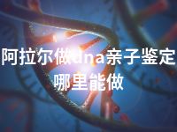 阿拉尔做dna亲子鉴定哪里能做