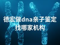 德宏做dna亲子鉴定找哪家机构