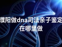 濮阳做dna司法亲子鉴定在哪里做