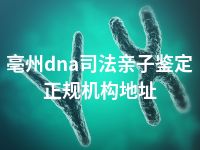 亳州dna司法亲子鉴定正规机构地址