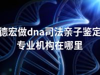 德宏做dna司法亲子鉴定专业机构在哪里