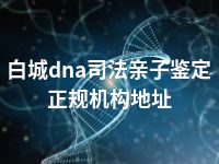 白城dna司法亲子鉴定正规机构地址