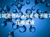 防城港做dna司法亲子鉴定在哪里做