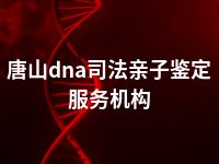 唐山dna司法亲子鉴定服务机构