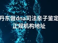 丹东做dna司法亲子鉴定正规机构地址