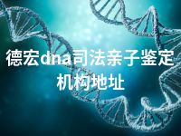 德宏dna司法亲子鉴定机构地址