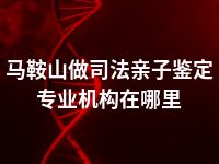 马鞍山做司法亲子鉴定专业机构在哪里