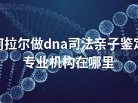 阿拉尔做dna司法亲子鉴定专业机构在哪里