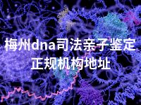 梅州dna司法亲子鉴定正规机构地址