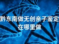 黔东南做无创亲子鉴定在哪里做