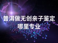 普洱做无创亲子鉴定哪里专业