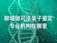 聊城做司法亲子鉴定专业机构在哪里