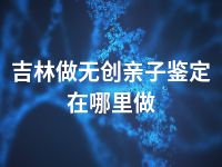 吉林做无创亲子鉴定在哪里做