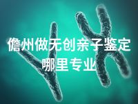 儋州做无创亲子鉴定哪里专业
