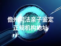 儋州司法亲子鉴定正规机构地址