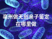 亳州做无创亲子鉴定在哪里做
