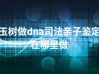 玉树做dna司法亲子鉴定在哪里做