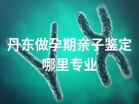 丹东做孕期亲子鉴定哪里专业
