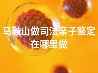 马鞍山做司法亲子鉴定在哪里做