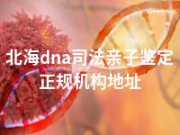 北海dna司法亲子鉴定正规机构地址