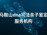 马鞍山dna司法亲子鉴定服务机构