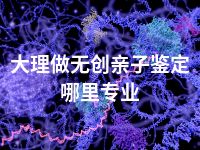 大理做无创亲子鉴定哪里专业