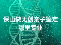保山做无创亲子鉴定哪里专业