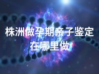 株洲做孕期亲子鉴定在哪里做
