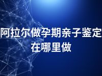 阿拉尔做孕期亲子鉴定在哪里做