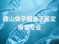 唐山做孕期亲子鉴定哪里专业