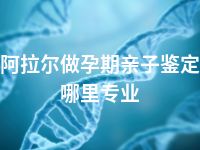 阿拉尔做孕期亲子鉴定哪里专业