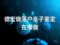 德宏做落户亲子鉴定在哪做