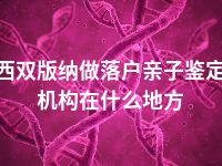 西双版纳做落户亲子鉴定机构在什么地方