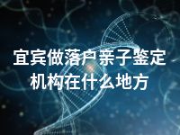 宜宾做落户亲子鉴定机构在什么地方