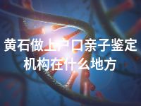 黄石做上户口亲子鉴定机构在什么地方