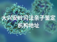 大兴安岭司法亲子鉴定机构地址