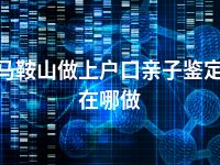 马鞍山做上户口亲子鉴定在哪做