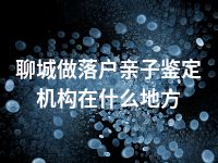 聊城做落户亲子鉴定机构在什么地方