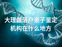大理做落户亲子鉴定机构在什么地方