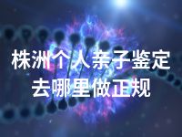 株洲个人亲子鉴定去哪里做正规