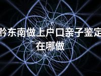 黔东南做上户口亲子鉴定在哪做