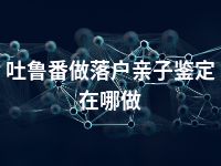 吐鲁番做落户亲子鉴定在哪做