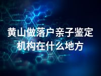 黄山做落户亲子鉴定机构在什么地方