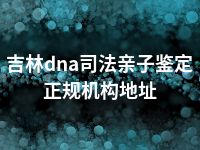 吉林dna司法亲子鉴定正规机构地址